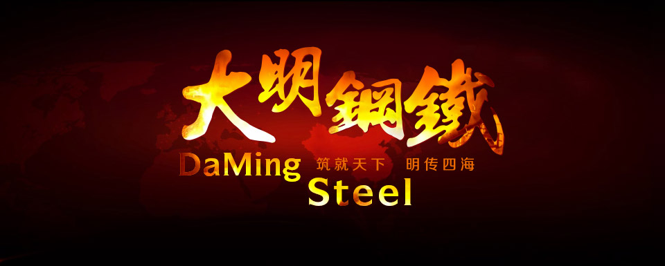 Guangdong Daming Steel Industrial Co. Ltd.